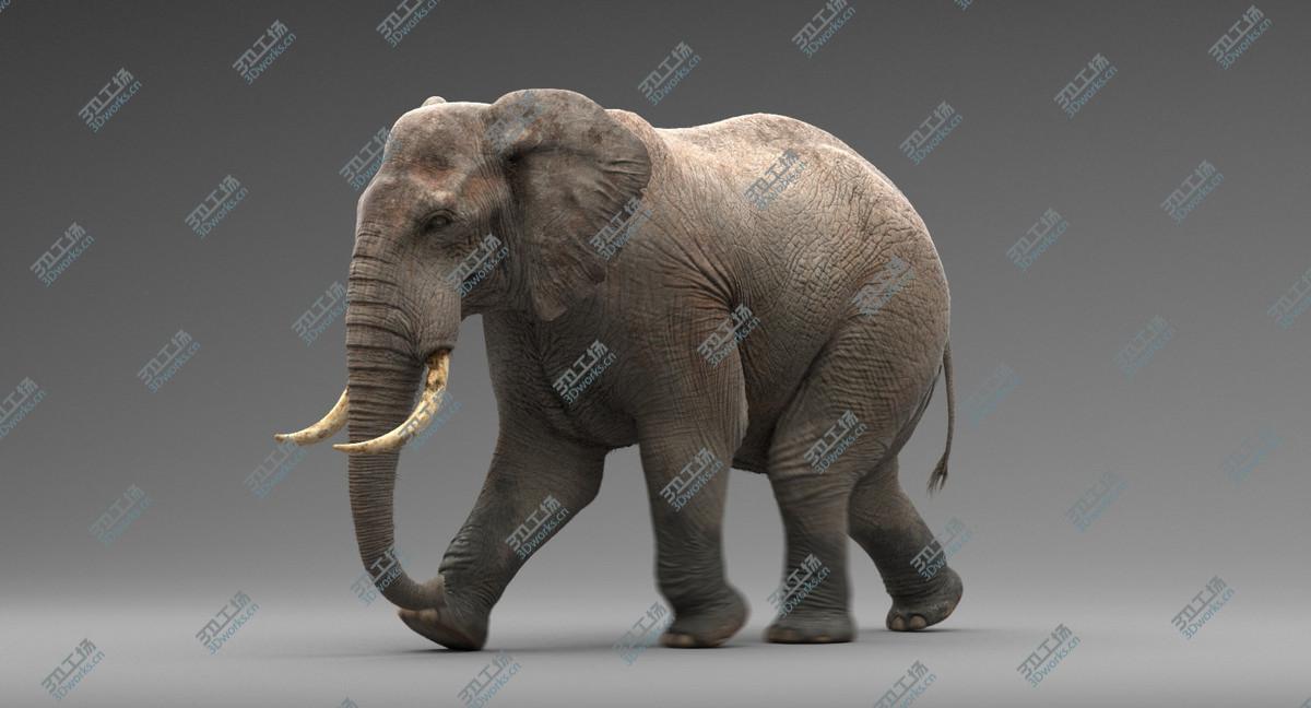 images/goods_img/20210113/Elephant Animated/5.jpg